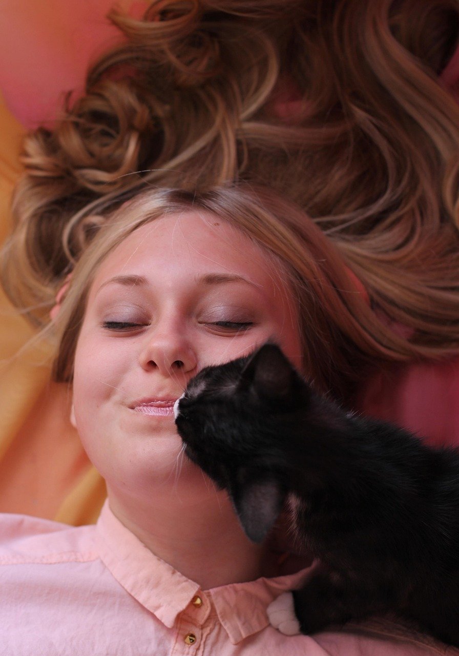 cta-02 kitten, furry, cute, pet, cat, fur, kitty, animals, darling, resting, paws, tenderness, small, friendship, love, joy, happiness, beautiful, care, baby, parenting, human, beauty, gratitude